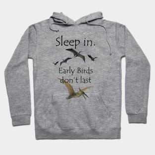 Sleep In Hoodie